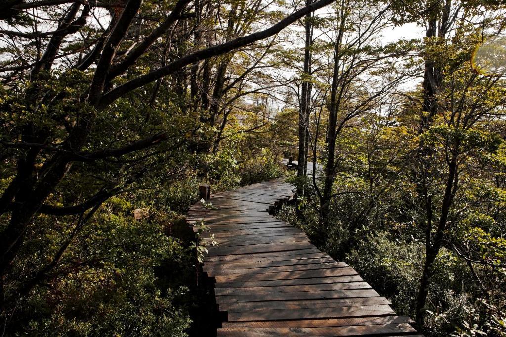 Patagonia Camp Hotel Torres del Paine National Park Екстериор снимка